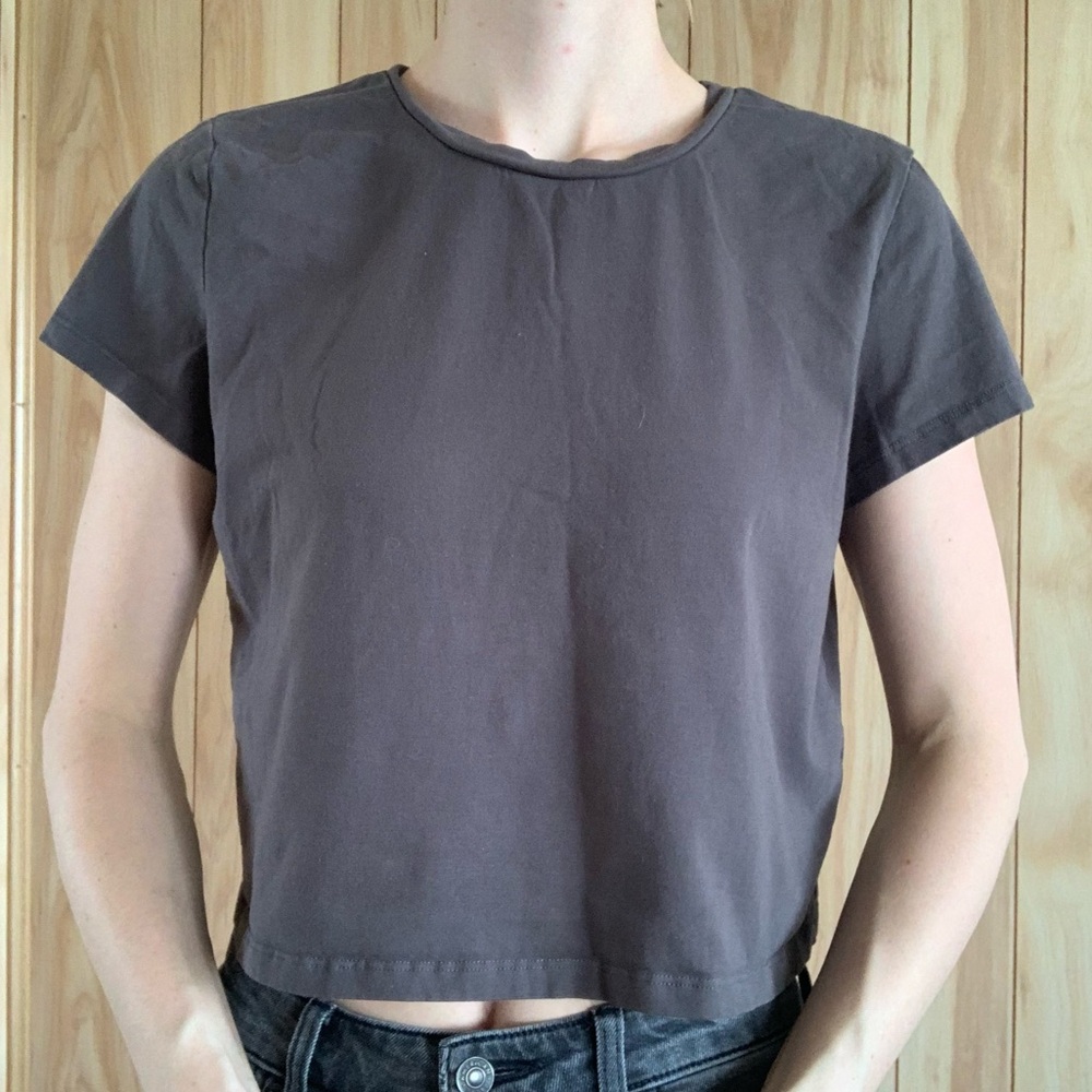 Gold Hinge Gray Cropped Tee